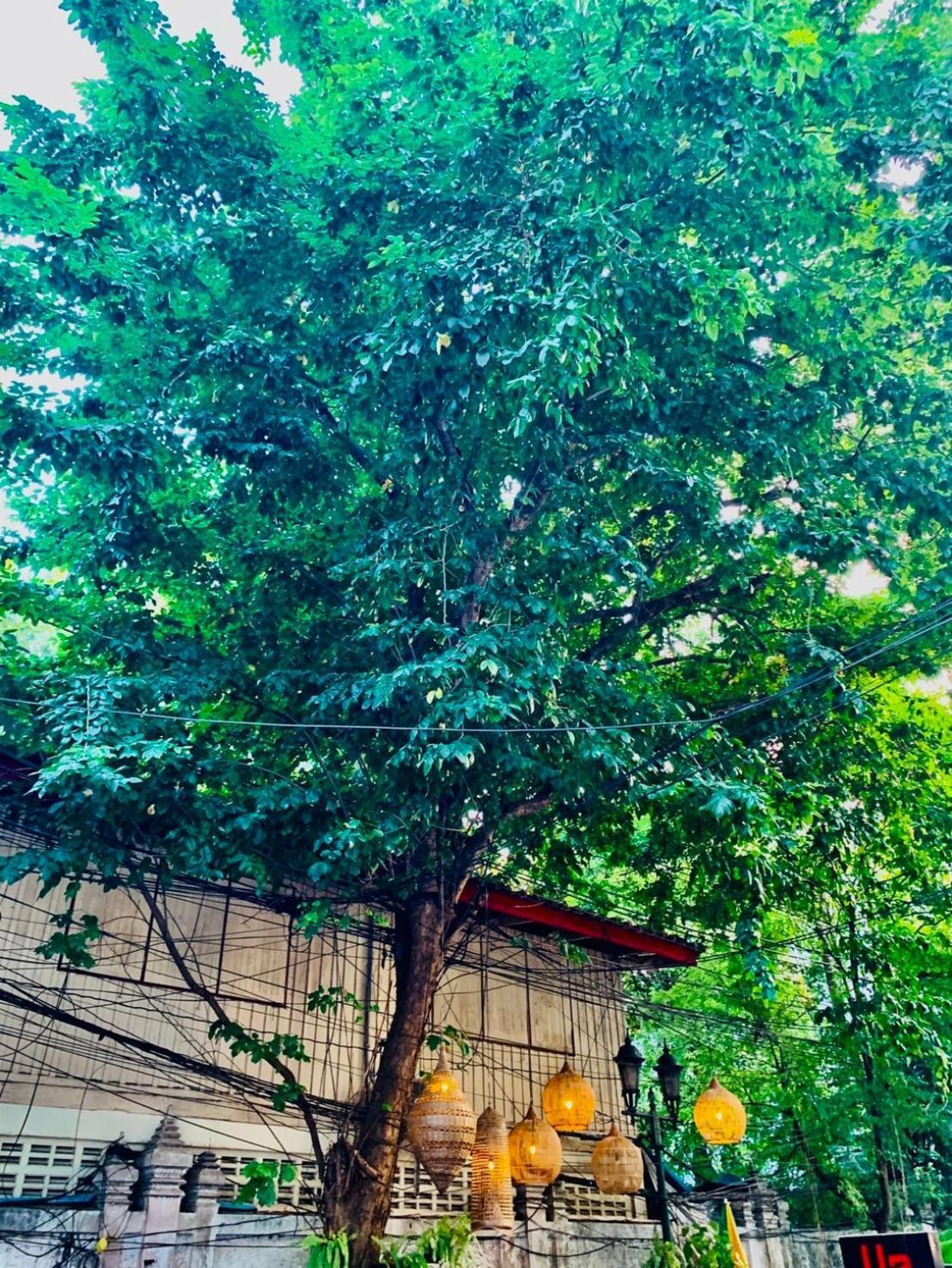 Easy Sunday Khaosan होटल 3*